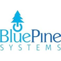 BluePine Systems Limited logo - Similar company to Bluepine Systems