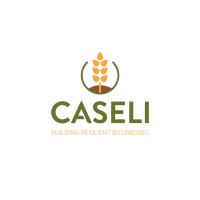 Centre d'Appui et de Services aux Entreprises Locales et Internationales (CASELI) logo - Similar company to Synthesis Ventures