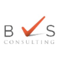 BVS CONSULTING logo - Similar company to Skipti