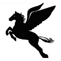 chenxiang vietnam technology Co., Ltd logo - Similar company to L&G Electronics Co.,Ltd