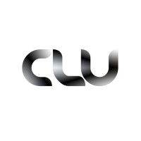 CLU  - Unternehmensberater logo - Similar company to Michael Göhring Project Management Services