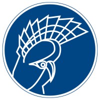 Imazo logo - Similar company to Direct To Source