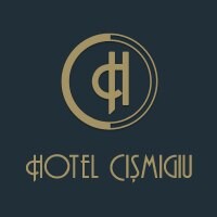 Hotel Cismigiu logo - Similar company to Two & From