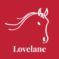 Lovelane Special Needs Horseback Riding Program logo - Similar company to Nextjen Pr