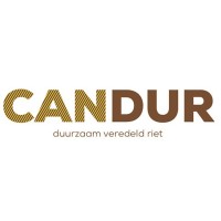 Candur logo - Similar company to Peppelhout