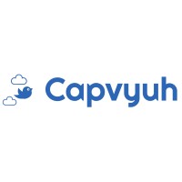 Capvyuh Science logo - Similar company to Bidpull.Com