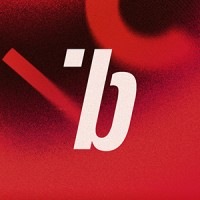 Bleach logo - Similar company to Delta Team D.O.O.