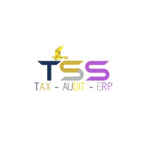 PT. Tiga Solusi Sakti (TSS) logo - Similar company to Pt. Solumining Technology Indonesia