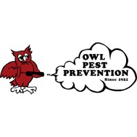 Owl Pest Prevention