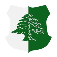 Cedarbyte logo - Similar company to Asynk Tech