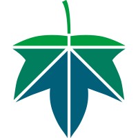 Maples Design logo - Similar company to Beijing Cinco Media Co. (北京馨柯文化传媒有限公司)
