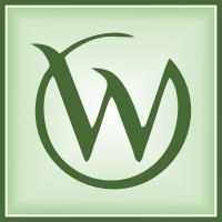 Web Mingo IT Solutions Pvt. Ltd. logo - Similar company to Cloud Converge