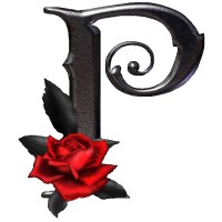 Premier Mortgage logo - Similar company to Premier Mortgage Group