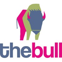 Bull Events Management (P) Ltd. logo - Similar company to Projects India Mice