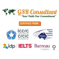GSR Consultant logo - Similar company to Imm Consulting