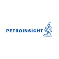 PETROINSIGHT logo - Similar company to Geippe Unmsm