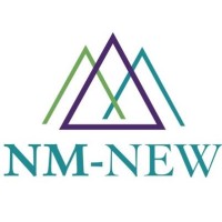 NM NEW logo - Similar company to Nm Fast