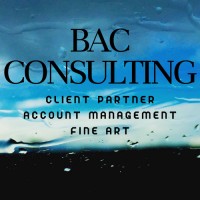 BAC Consulting logo - Similar company to Bac Consulting