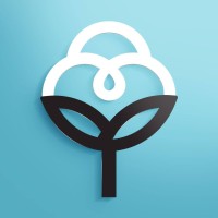 Sou de Algodão logo - Similar company to Abrapa - Associação Brasileira Dos Produtores De Algodão