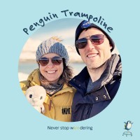 Penguin Trampoline logo - Similar company to Seven Bison