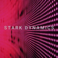 Stark Dynamics logo - Similar company to Decodes