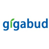 Gigabud Limited logo - Similar company to Virtuarch
