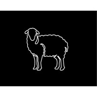 ROOTS LANDSCAPE BELGIUM logo - Similar company to Duust Stedenbouwkundig Ontwerpbureau