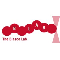 IMSEAM - The Blasco Lab logo - Similar company to Polina Project