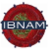 Institute For Bionanotechnology And Medicine