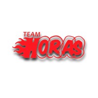 Team Horas USU logo - Similar company to Immune.Ae