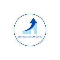 Blue Castle Consulting logo - Similar company to Meduni
