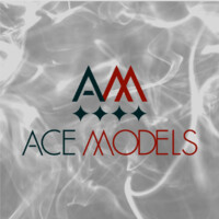 Ace Models logo - Similar company to Apm Models New York