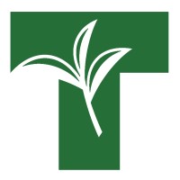 Tea and Herbal Association of Canada logo - Similar company to Herbert Works