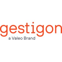 gestigon - a Valeo brand logo - Similar company to Bareways