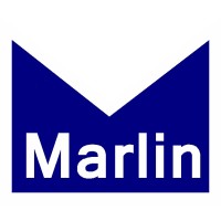 Marlin logo - Similar company to Bright Marlin