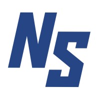 NetSec logo - Similar company to Netsec