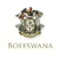 Boffswana logo - Similar company to 20-80 Solutions