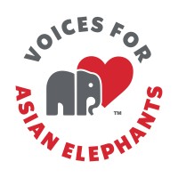 Voices for Asian Elephants logo - Similar company to Vforensics