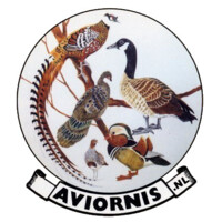 Aviornis International Netherlands logo - Similar company to Wisbroek