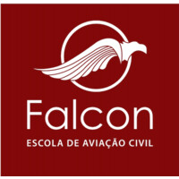 Falcon Escola de Aviação logo - Similar company to Team Xmachine