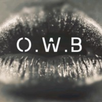 O.W.B Public Affairs Research, Strategy, Writing logo - Similar company to Confluence Ballet Co.