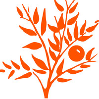 Waimea Nurseries Ltd logo - Similar company to Moss