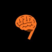 NeuralNine logo - Similar company to Mcoding
