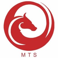 MTS EASY FIN SOLUTIONS PRIVATE LIMITED logo - Similar company to N. Racca Advertising & Marketing
