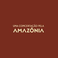 Uma Concertação pela Amazônia logo - Similar company to Instituto Arapyaú