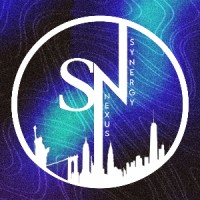 SYNERGY NEXUS logo - Similar company to Elarian Mun