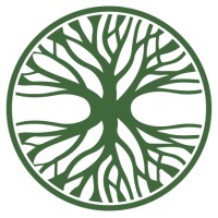 Business Tree Consulting logo - Similar company to Business Tree Consultants