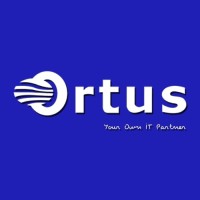 Ortus Infosys logo - Similar company to Infosys Developers