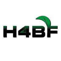 H4BF-CAMEROON logo - Similar company to Gdg On Campus Uba(Gdsc Uba)
