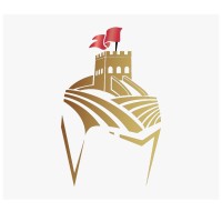 Vinyard Knight logo - Similar company to Deqlic Digital
